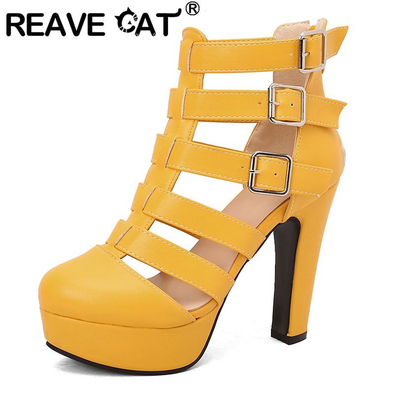REAVE CAT Luxury Female Sandal - Fashion Women Belt review and price