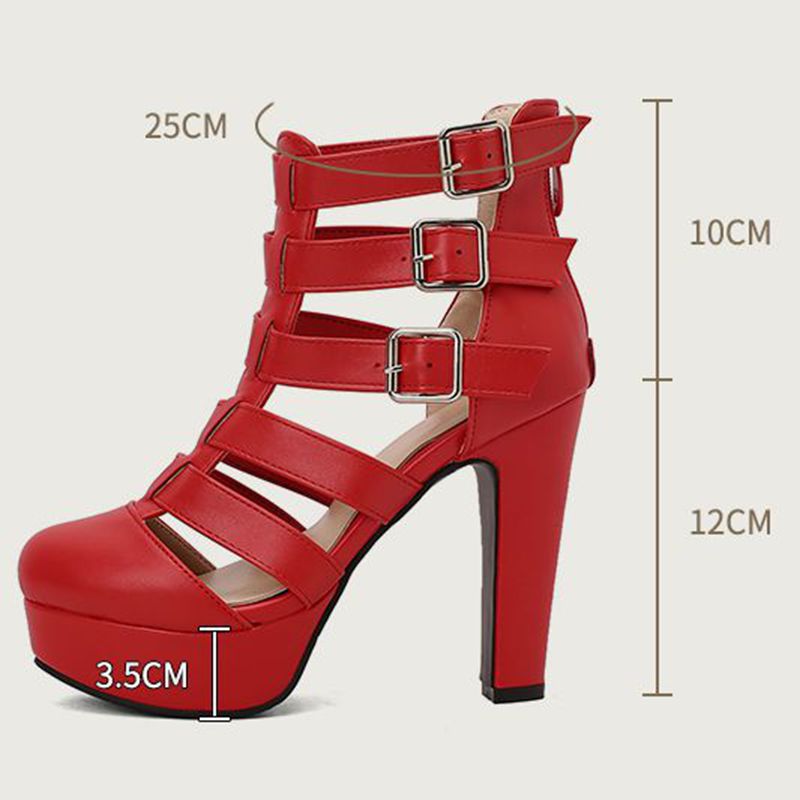 REAVE CAT Luxury Female Sandal - Fashion Women Belt review and price